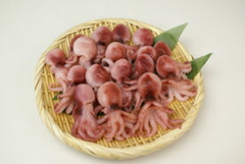 楽天市場 イイダコ 魚介類 水産加工品 食品 の通販 楽天市場 イイダコ 魚介類 水産加工品 食品 の通販