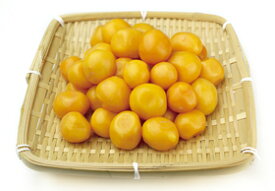 楽天市場 きんかん 鶏の通販