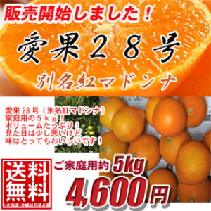 yz28iʖg}hijyzƒpՂ5kgԌ/g܂ǂ/Q/󂠂