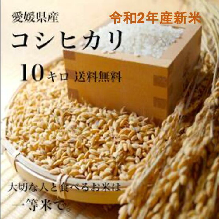 楽天市場】【送料無料】令和2年産新米!愛媛県産♪完全一等米!検査済み「コシヒカリ10kg(5kgx2)」 : 食卓広場 楽天市場】【送料無料】令和2年産新米!愛媛県産♪完全一等米!検査済み「コシヒカリ10kg(5kgx2)」 : 食卓広場