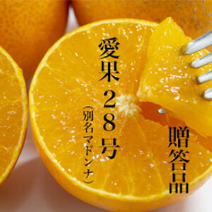 yz28iʖg}hij@pԌ/g܂ǂ/Q/󂠂