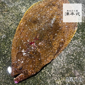 Ö{ Ö{O {ldā@ɂ̌{茧ԎsY ێRq2d 1800`1.0kg {B  {茧甭 Ö{  N fBA Nv u  ɂ̌