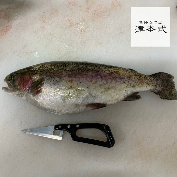 楽天市場 津本式 津本光弘 本人仕立て 究極の血抜き 奥日向サーモン重量 約1 3 1 7kg 養殖 送料無料 宮崎県から発送 津本式 血抜き 鮮魚 メディア 鮮魚革命 著書 究極の血抜き 津本式 で紹介 刺身 Youtube 人気 魚仕立屋 津本式 楽天市場店