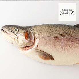 津本光弘本人仕立て究極の血抜き いわなが鱒重量約1.5〜2.0kg 養殖 宮崎県から発送