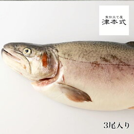 津本光弘本人仕立て究極の血抜き いわなが鱒重量約1.5〜2.0kg×3尾入り　養殖 宮崎県から発送