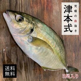 楽天市場 シマアジ 刺身の通販