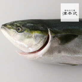 津本式 津本光弘 本人仕立て　究極の血抜きへべすぶり重量 約3.7〜4.3kg 養殖 送料無料 宮崎県北浦から発送 津本式 血抜き 鮮魚 メディア 鮮魚革命 「 著書 究極の血抜き 津本式 」で紹介 刺身 youtube 人気