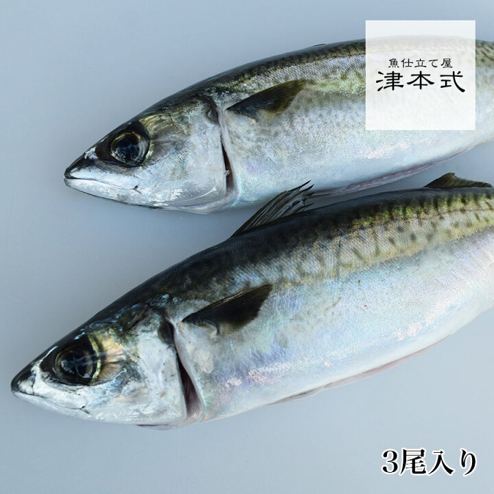 楽天市場 津本式 仕立て師 清原功次 究極のオリーブ鯖3尾入り重量 1尾約600g前後 養殖 送料無料 香川県から発送 津本式 血抜き 鮮魚 メディア 鮮魚革命 著書 究極の血抜き 津本式 で紹介 刺身 Youtube 人気 魚仕立屋 津本式 楽天市場店 楽天市場 津本式 仕立て師 清原功次 究極のオリーブ鯖3尾入り重量 1尾約600g前後 養殖 送料無料 香川県から発送 津本式 血抜き 鮮魚 メディア 鮮魚革命 著書 究極の血抜き 津本式 で紹介 刺身 Youtube 人気 魚仕立屋 津本式 楽天市場店