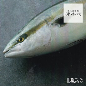 津本式 仕立て師：清原功次 MEL養殖認証究極の百年はまち重量 原魚 約3.5kg前後 養殖 送料無料 香川県から発送 津本式 血抜き 鮮魚 メディア 鮮魚革命 「 著書 究極の血抜き 津本式 」で紹介 刺身 youtube 人気
