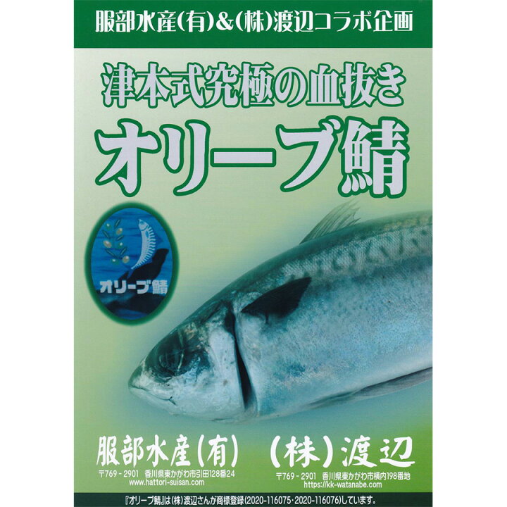 楽天市場 津本式 仕立て師 清原功次 究極のオリーブ鯖2尾入り重量 1尾約600g前後 養殖 送料無料 香川県から発送 津本式 血抜き 鮮魚 メディア 鮮魚革命 著書 究極の血抜き 津本式 で紹介 刺身 Youtube 人気 魚仕立屋 津本式 楽天市場店 楽天市場 津本式 仕立て師 清原功次 究極のオリーブ鯖2尾入り重量 1尾約600g前後 養殖 送料無料 香川県から発送 津本式 血抜き 鮮魚 メディア 鮮魚革命 著書 究極の血抜き 津本式 で紹介 刺身 Youtube 人気 魚仕立屋 津本式 楽天市場店