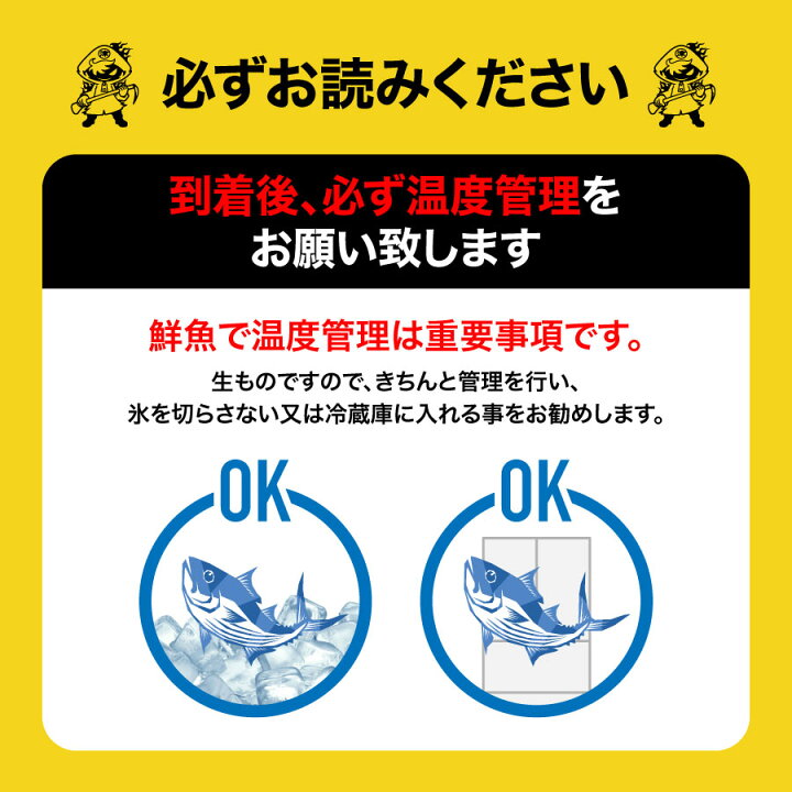 楽天市場 津本式 仕立て師 徳増邦彦 伸東ヒラメ 養殖 伸東ヒラメ 津本式究極の血抜き フィレ 生食用 ４枚入り 送料無料 津本式 血抜き ヒラメ 鮮魚 ギフト 魚仕立屋 津本式 楽天市場店