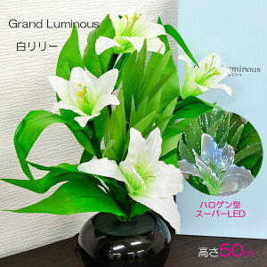 Oh~iX 03 [ 50cm LED ~ ~傤 U 