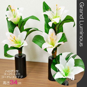 Oh~iX 07 [ 34cm LED R[hX^Cv dr ~ ~傤 U 