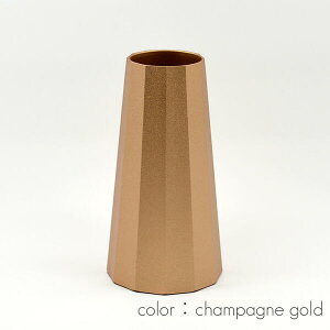 ԗ 034 VpS[h 1 ^J ʃtFgH nwp ݑԗ ݗ ԕr SGI SOKA