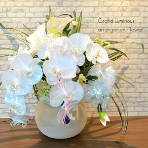 Oh~iXAWgt[ G} ʂ̉ dR[h 026 Ӓ 52cm×50cm×s45cm LED ~ ~傤 U 