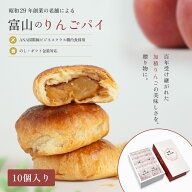 ＼ 楽天スーパーSALE 限定☆20％OFF／ 加積りんごパイ 10個入り アップルパイ ギフト 敬老の日 個包装 お…