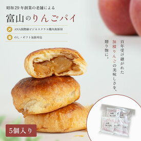 ＼まずはお試し！送料無料／ 加積りんごパイ 5個 敬老の日 ギフト アップルパイ 個包装 秋ギフトスイーツ 秋ギフト 敬老の日の贈り物 お取り寄せスイーツ 富山 お菓子 詰め合わせ 日持ち 喜ばれるお菓子 手土産 プレゼント 内祝い 加積りんご ANA機内食 機内食 美味しい