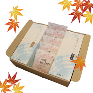 _wOKH̑蕨^ς񂲃pCƖJXe2{Zbg@XC[c َq   v[g Mtg a j Ԃ @l 퉷 O @H ς 