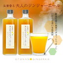 業務用 大人のジンジャーエール 870g 2本 送料無料(沖縄、離島を除く)