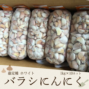 ÒzCg oVɂɂ 1kg×10lbg Y