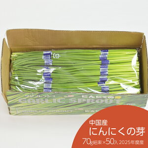 ɂɂ̉ 70g×50i1P[Xj Y