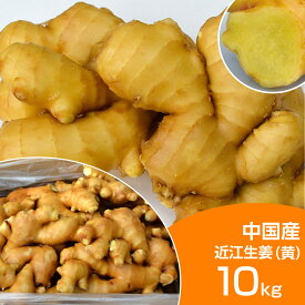 食用 中国産 黄金生姜 10kg（近江生姜 黄色）送料無料（沖縄除く）