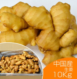 食用 中国産 黄金生姜 10kg（近江生姜 黄色）
