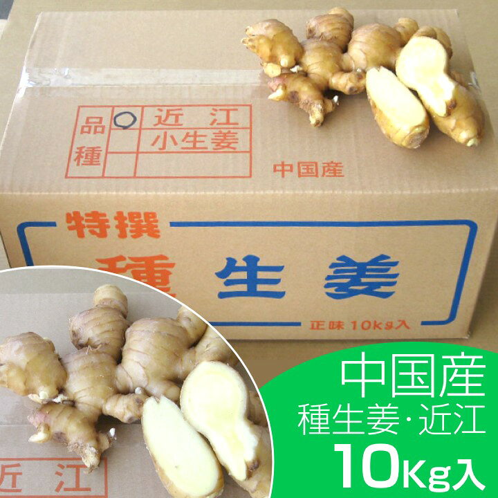 楽天市場】種生姜 中国産近江生姜（黄）10kg : 生姜工房