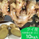 種生姜 タイ産完熟種生姜（近江生姜白）10kg