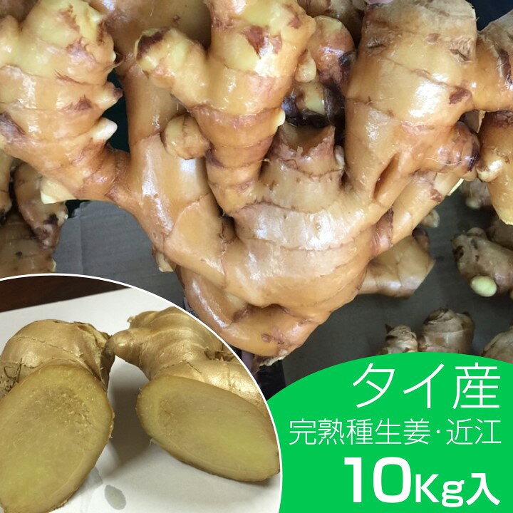楽天市場】種生姜 タイ産完熟種生姜（近江生姜白）10kg : 生姜工房