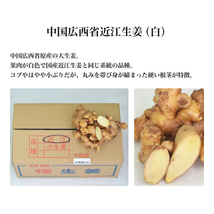 楽天市場】種生姜 中国広西省近江生姜（白）5kg 送料無料（沖縄除く 