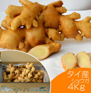 Hp ^CYقق݃VEK 4kgiߍ]I j