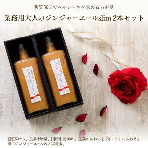 �Ɩ��p��l�̃W���W���[�G�[��slim 2�{�Z�b�g ��������(���ꏜ��)�y�M�t�g�z