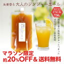 大人のジンジャーエールエコパック730g ゆうパケット送料無料[11スパイスコーラの日対象商品][ジンジャーエールシロッ…