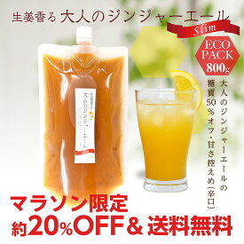 大人のジンジャーエールSlim エコパック 700g 1パック ゆうパケット送料無料[11スパイスコーラの日対象商品][ジンジャーエールシロップ]