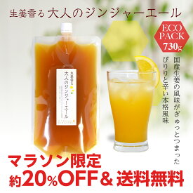 大人のジンジャーエールエコパック730g ゆうパケット送料無料[ジンジャーエールシロップ]