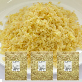 冷凍 みじん切り生姜 1kg×3 高知県産 一次加工品