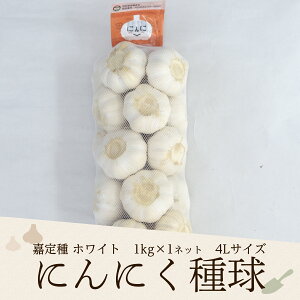 2025NxY ÒzCgɂɂ틅i4Lj 1kg×1lbg Yi͂ɂɂj(Ki4LTCY/1kglbg̖ڈʐ14-16)