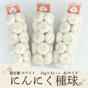 2025NxY ÒzCgɂɂ틅i4Lj 1kg×3lbg Yi͂ɂɂj(Ki4LTCY/1kglbg̖ڈʐ14-16)