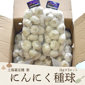 上海嘉定種紫 にんにく種球 1kg×5ネット 中国産