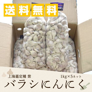 上海嘉定種紫 バラシにんにく 1kg×5ネット 中国産 送料無料(沖縄除く)