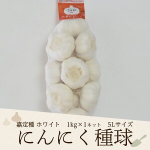 2025NxY ÒzCgɂɂ틅i5Lj 1kg×1lbg Yi͂ɂɂj(Ki5LTCY/1kglbg̖ڈʐ11-13)