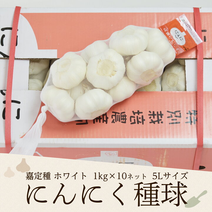 楽天市場】2025年度産 嘉定種ホワイトにんにく種球（5L） 1kg×10ネット にんにく自家栽培10kg （ほぼ2Lサイズ）