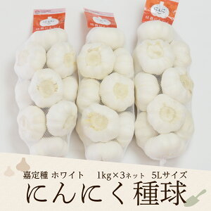 2025NxY ÒzCgɂɂ틅i5Lj 1kg×3lbg Yi͂ɂɂj(Ki5LTCY/1kglbg̖ڈʐ11-13)