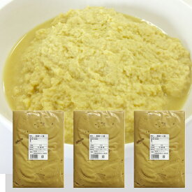 冷凍 ペースト生姜 1kg×3 高知県産 一次加工品