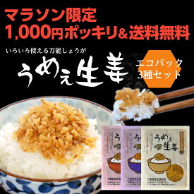 うめぇ生姜エコパック(鰹しそ梅)135g 3種セット ゆうパケット送料無料