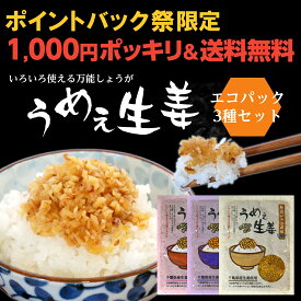 [マーシーズチャンネルに取り上げていただきました]うめぇ生姜エコパック(鰹しそ梅)135g 3種セット ゆうパケット送料無料[ポカポカ生姜レシピ 千葉県産生姜]