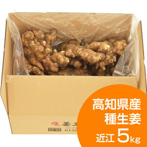 �퐶�I ���m���Y�ߍ]���I�i���j5kg