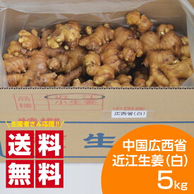 種生姜 中国広西省近江生姜（白）5kg 送料無料（沖縄除く）
