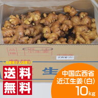 種生姜 中国広西省近江生姜（白）10kg 送料無料（沖縄除く）